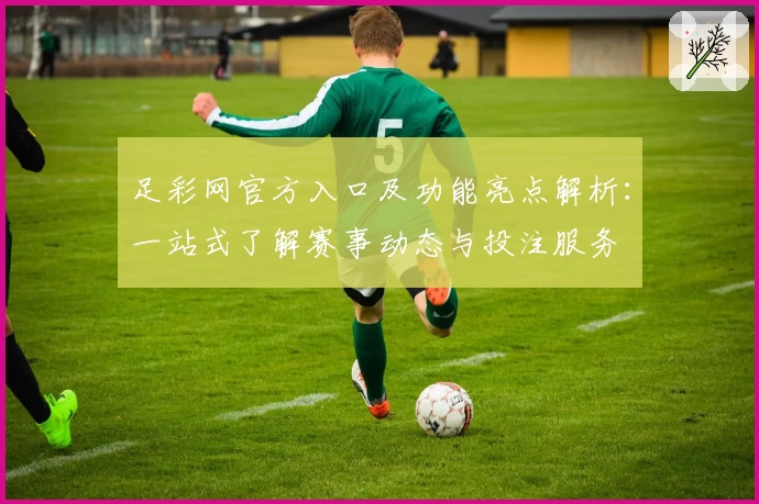 足彩网官方入口及功能亮点解析：一站式了解赛事动态与投注服务