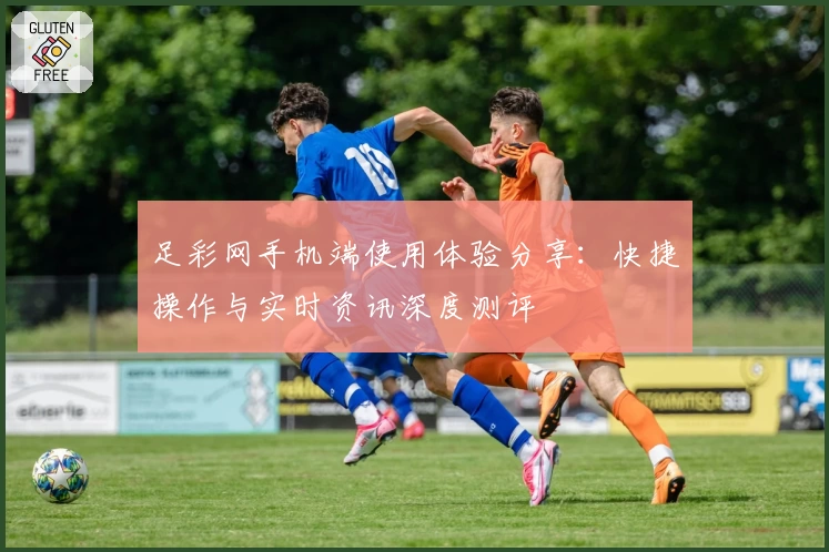 足彩网手机端使用体验分享：快捷操作与实时资讯深度测评