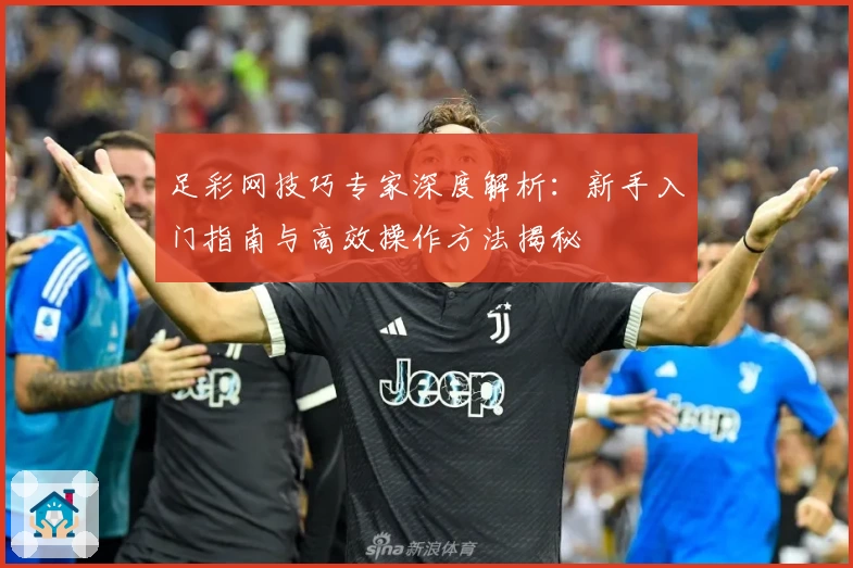 足彩网技巧专家深度解析：新手入门指南与高效操作方法揭秘