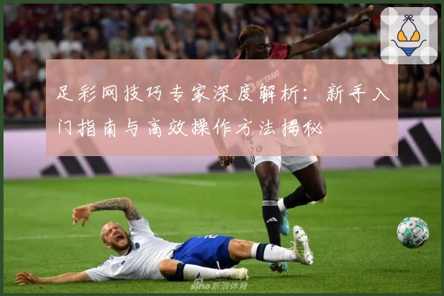 足彩网技巧专家深度解析：新手入门指南与高效操作方法揭秘